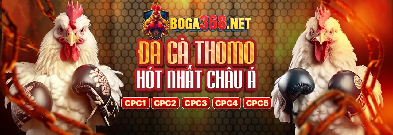 Đá gà trực tuyến tại A99 - Trải nghiệm cá cược đỉnh cao