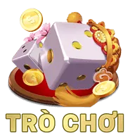 Chính sách riêng tư A99